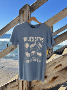 Wylies Sea Life Tee - Light Blue